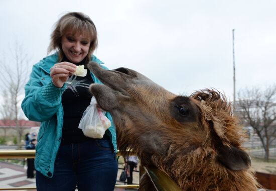 Парк львов "Тайган" в Крыму
