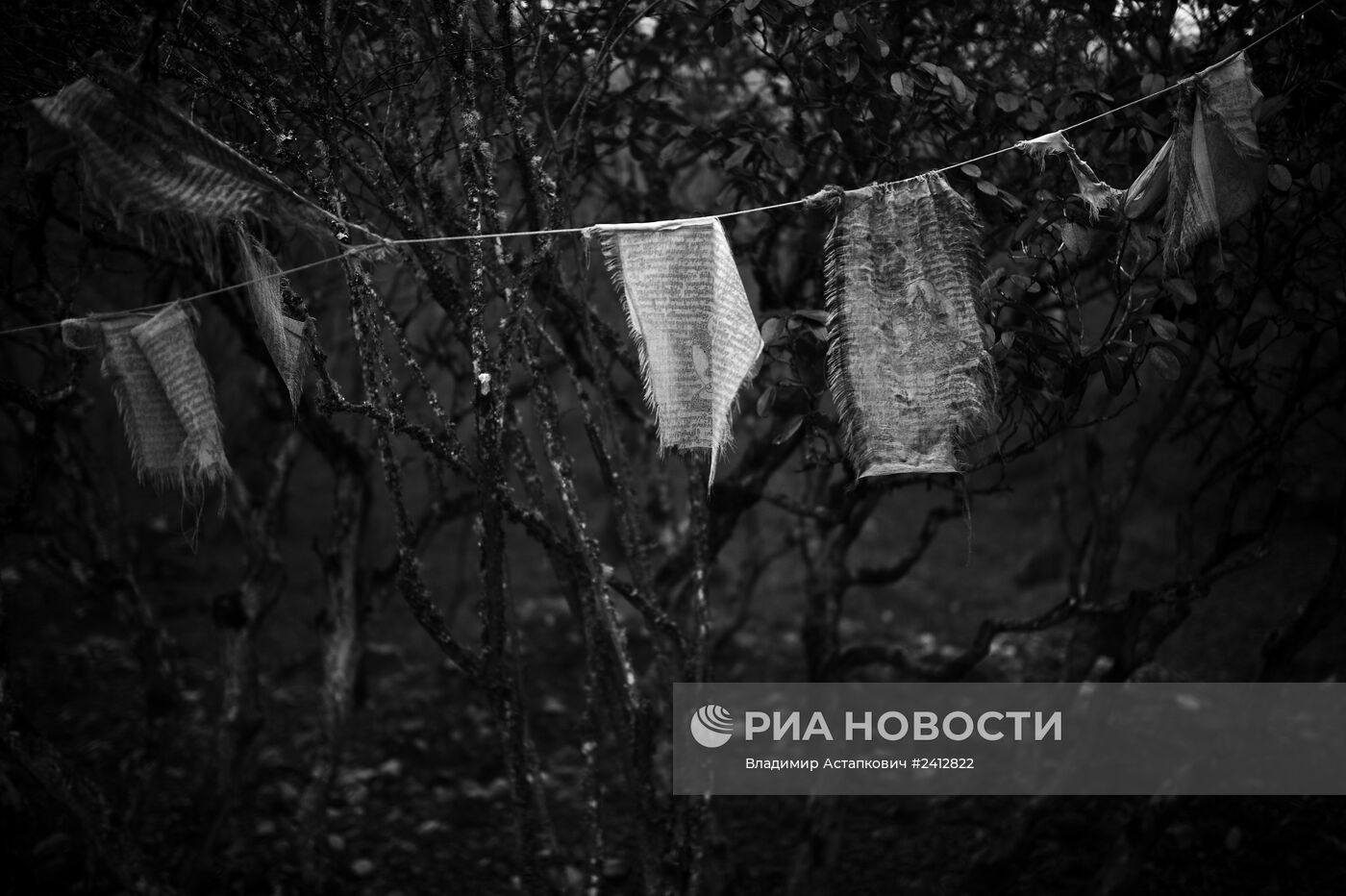 Страны мира. Непал