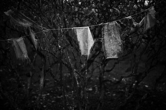 Страны мира. Непал