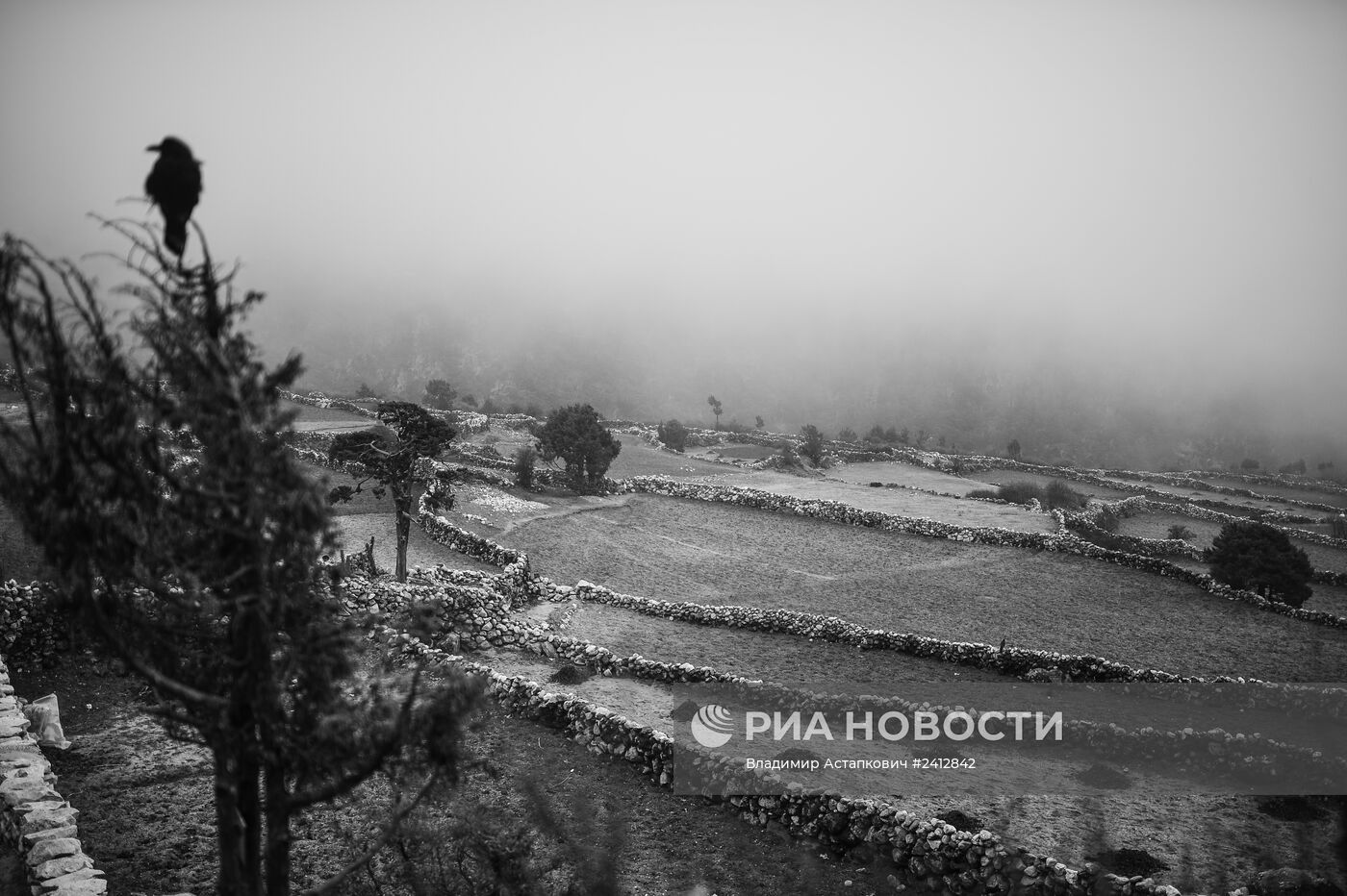 Страны мира. Непал