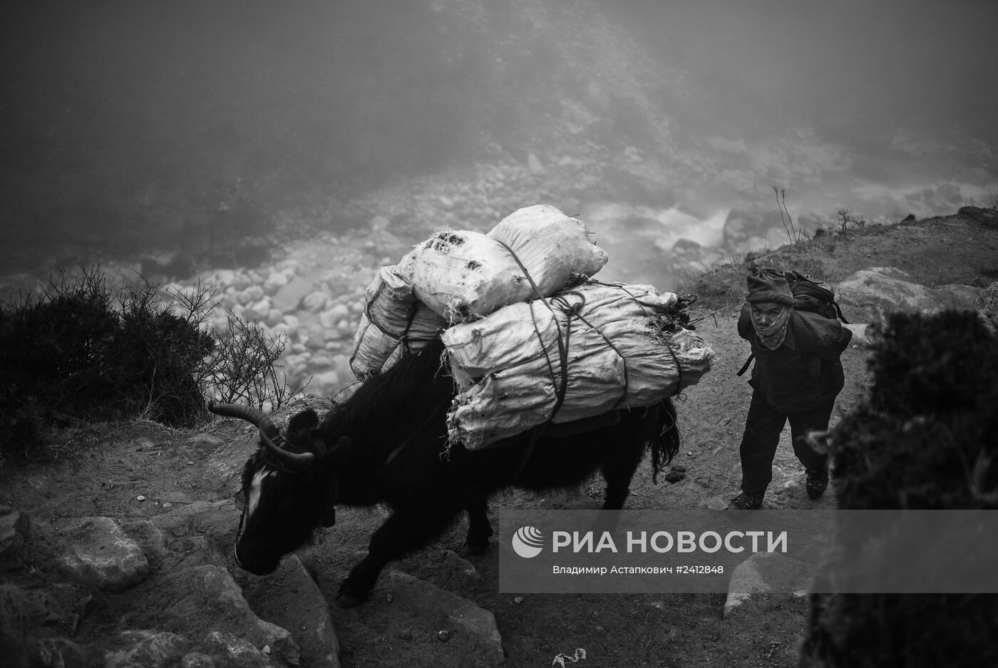 Страны мира. Непал