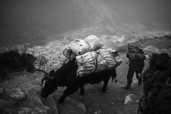 Страны мира. Непал