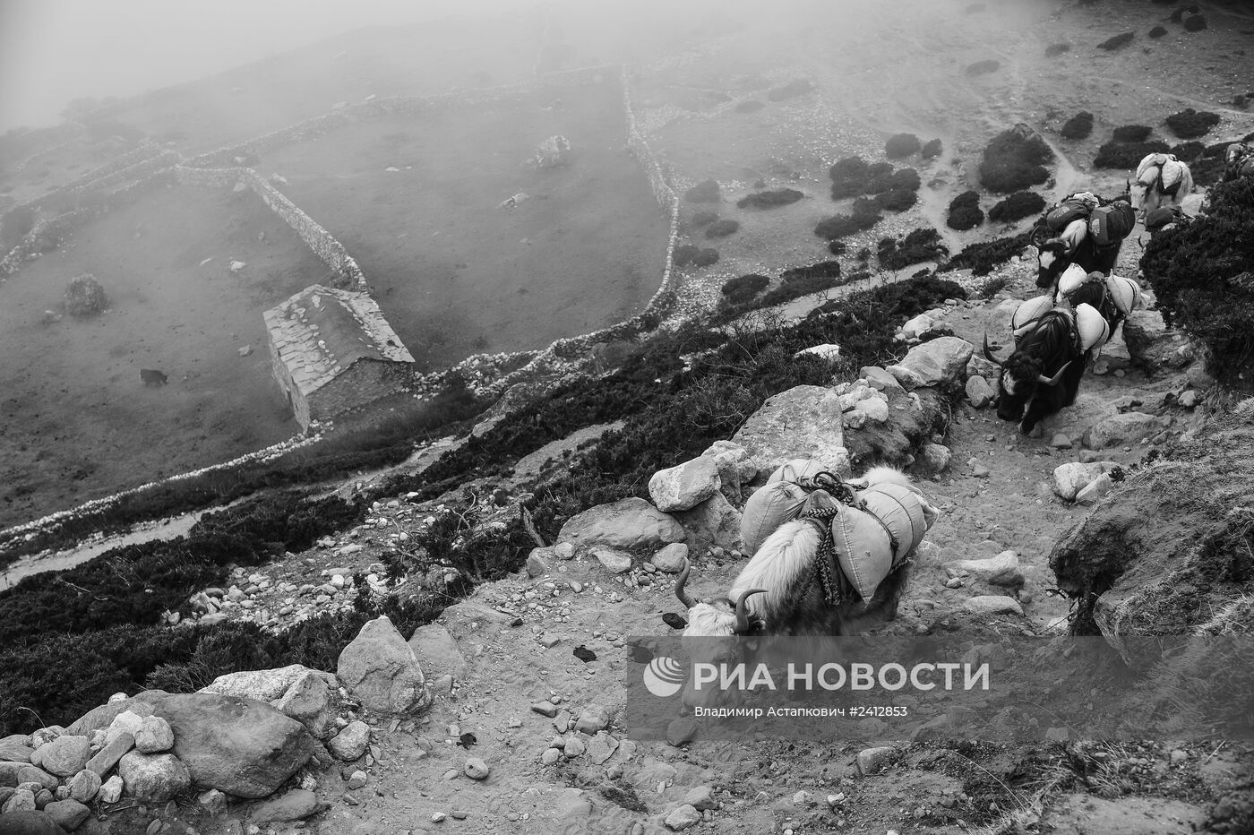 Страны мира. Непал