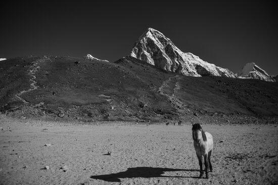 Страны мира. Непал