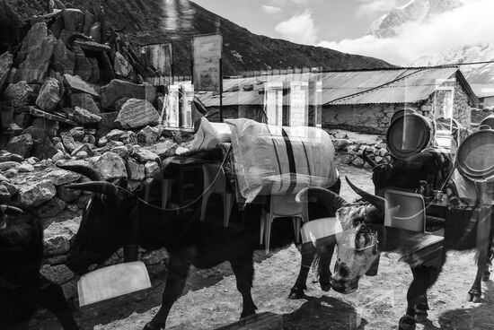 Страны мира. Непал