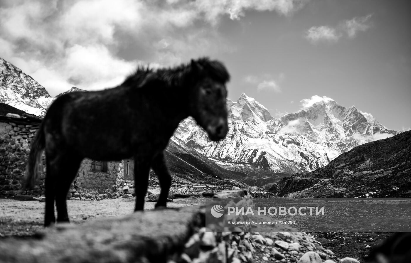 Страны мира. Непал