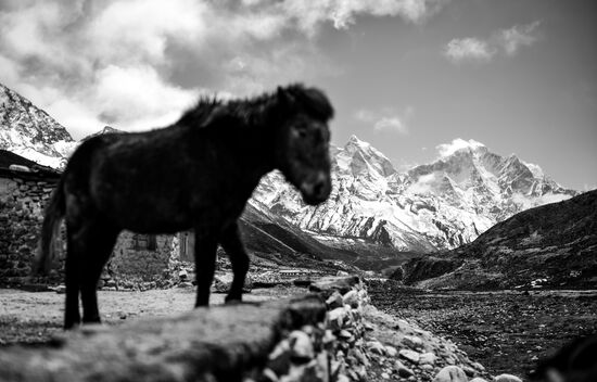 Страны мира. Непал