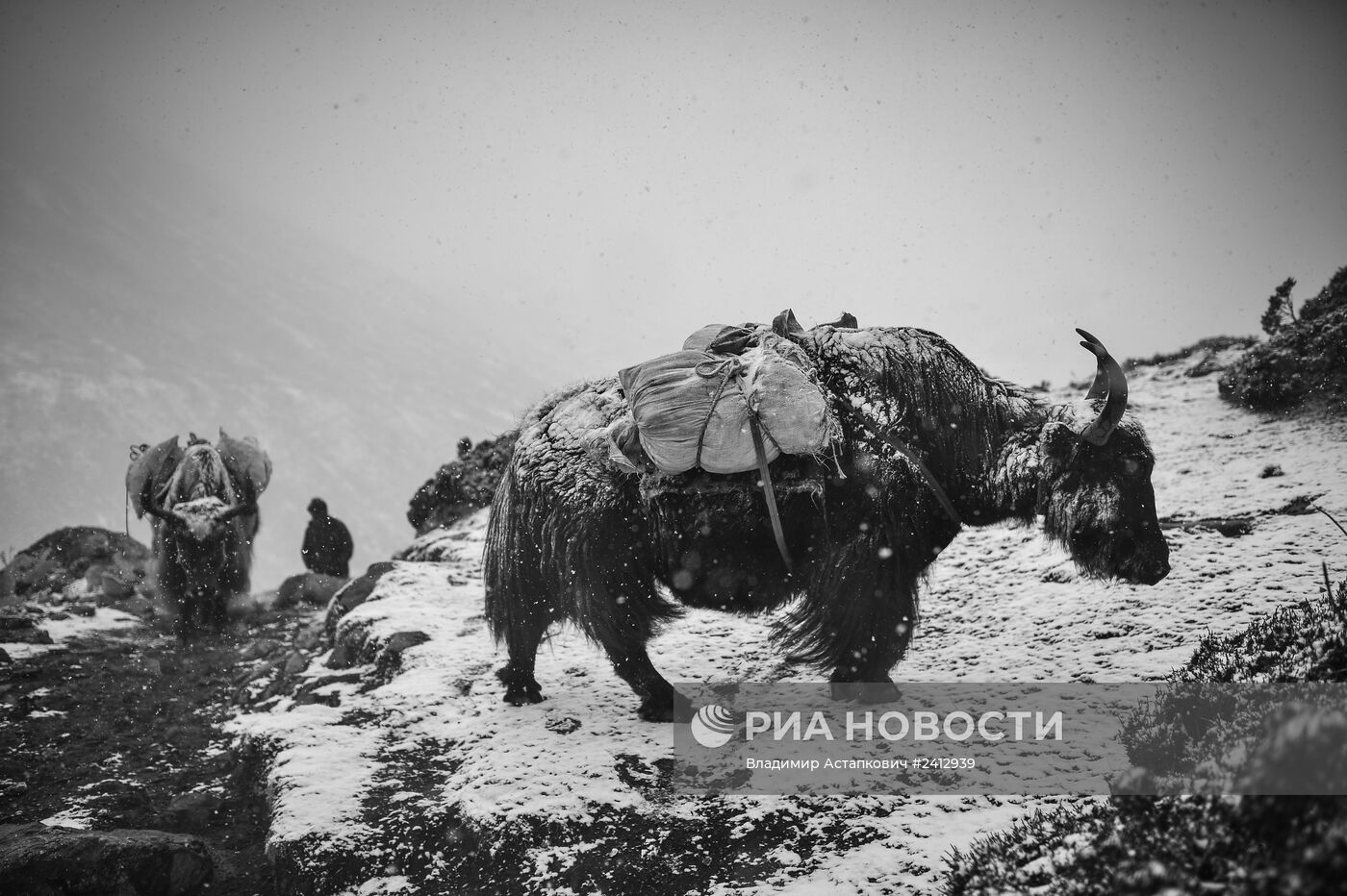 Страны мира. Непал