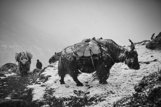 Страны мира. Непал