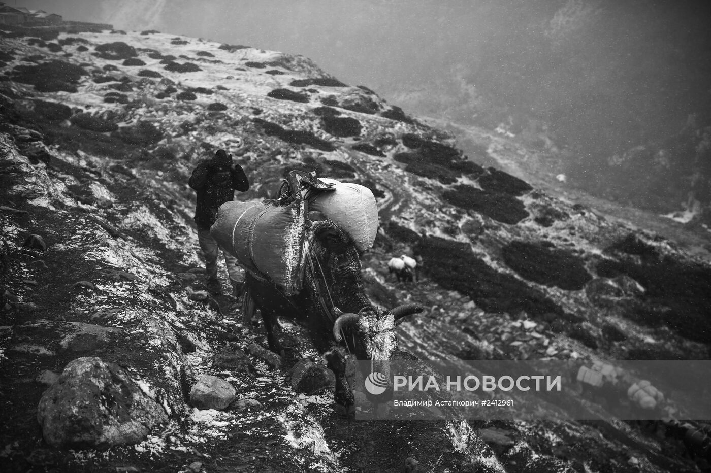 Страны мира. Непал