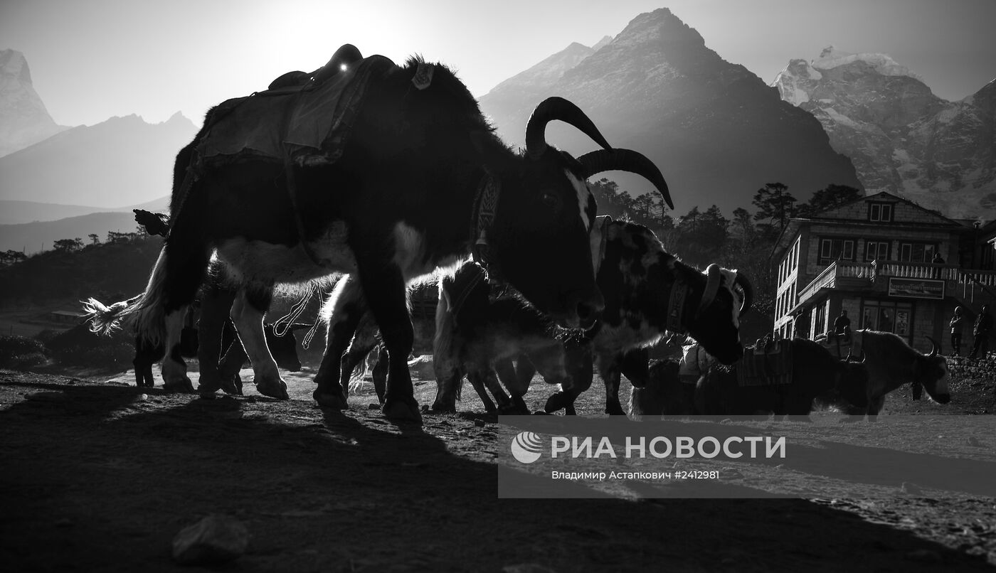 Страны мира. Непал