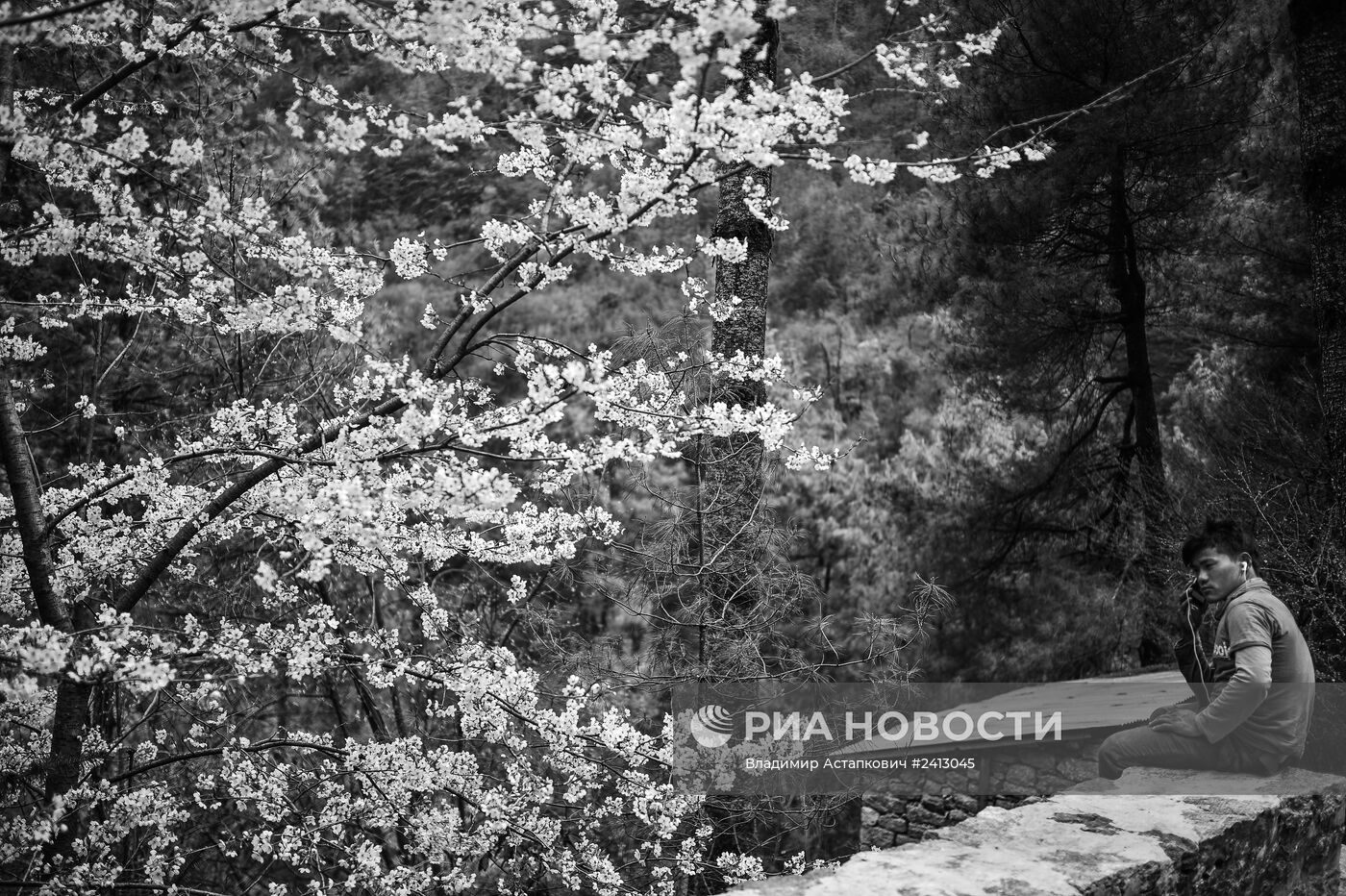 Страны мира. Непал