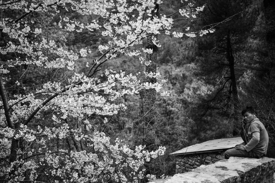 Страны мира. Непал