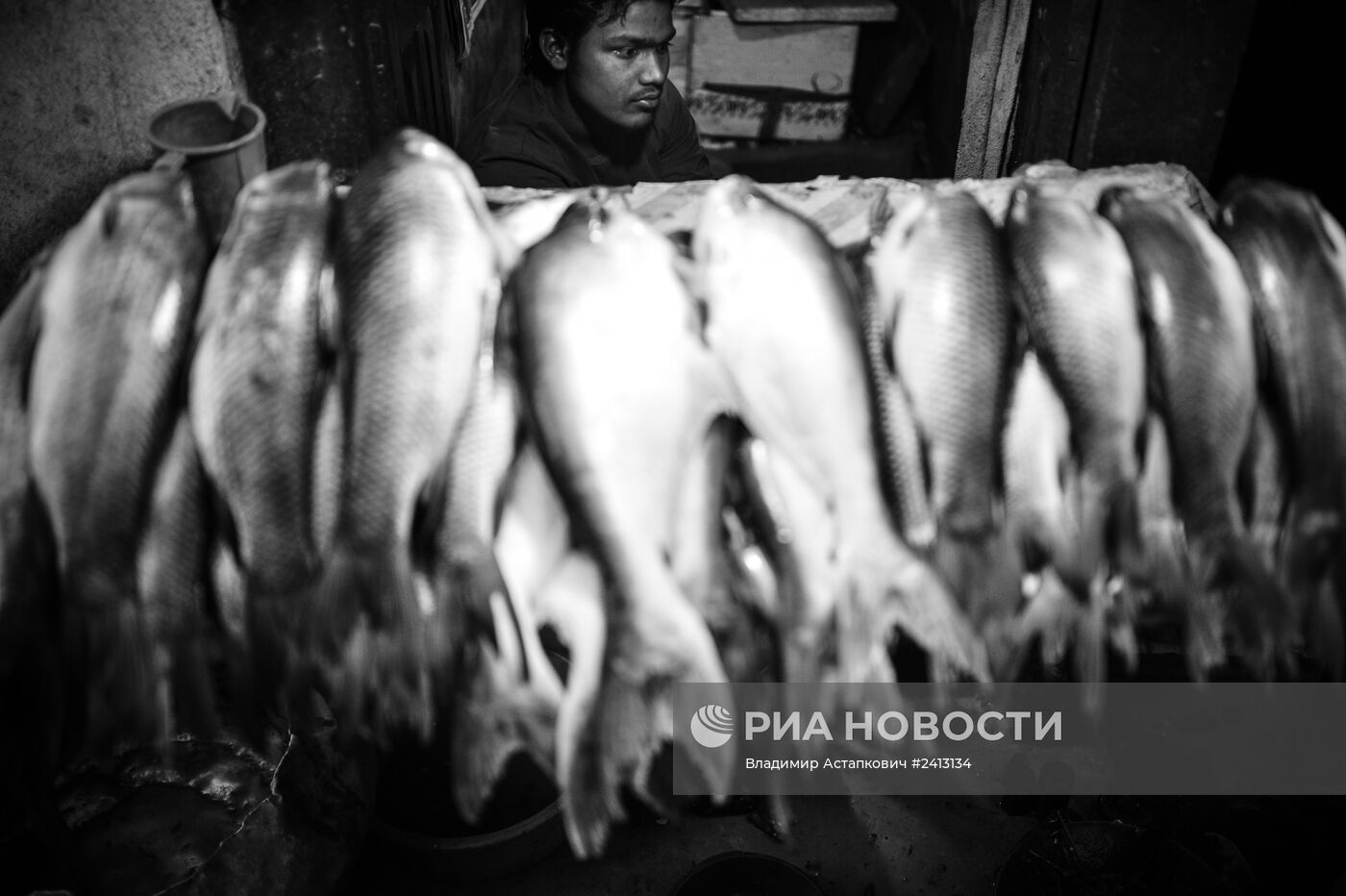 Страны мира. Непал