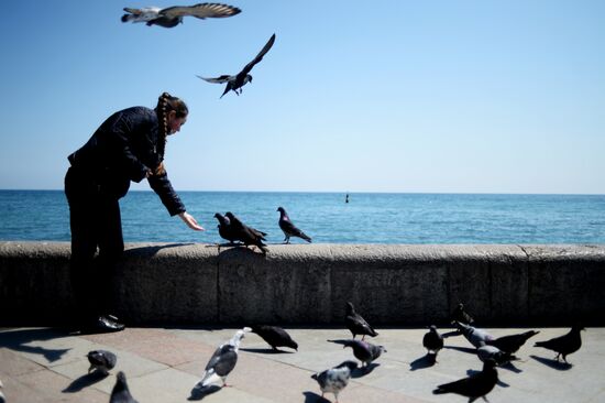 Города России. Ялта