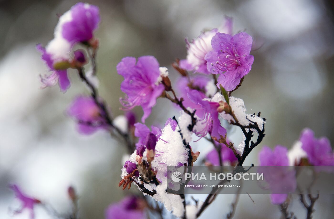 Снег в Забайкальском крае