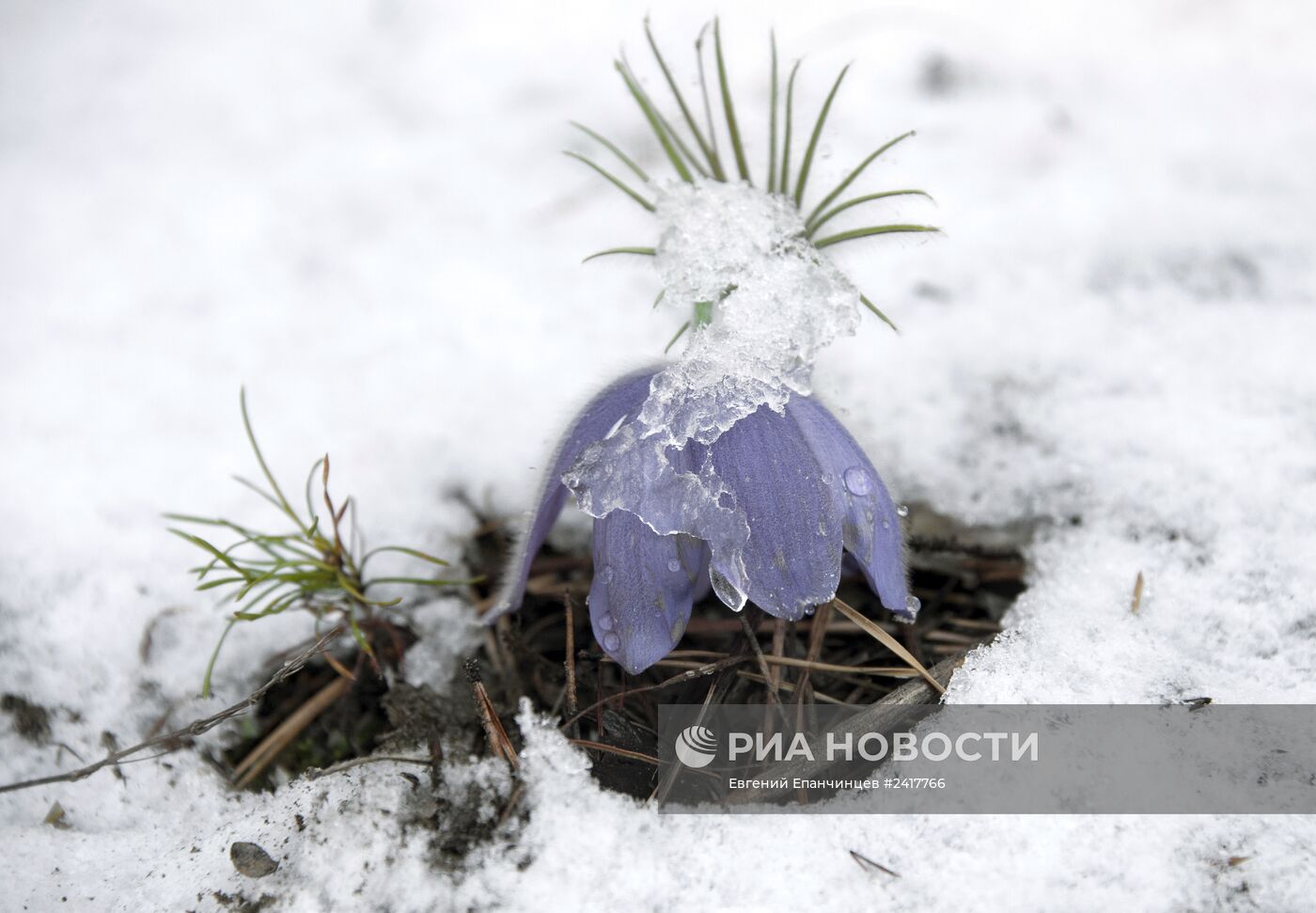 Снег в Забайкальском крае