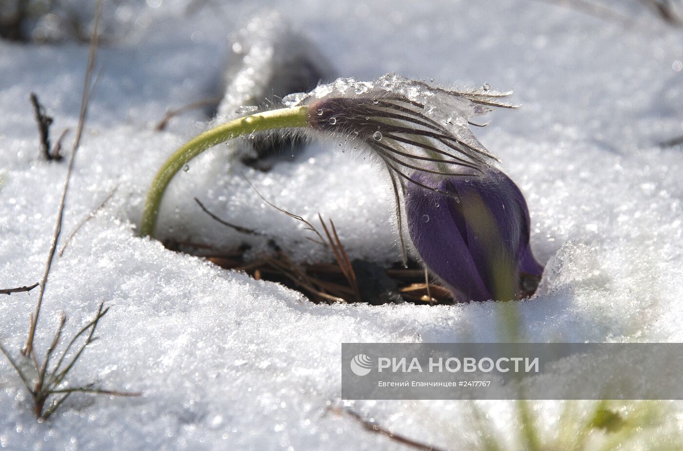 Снег в Забайкальском крае