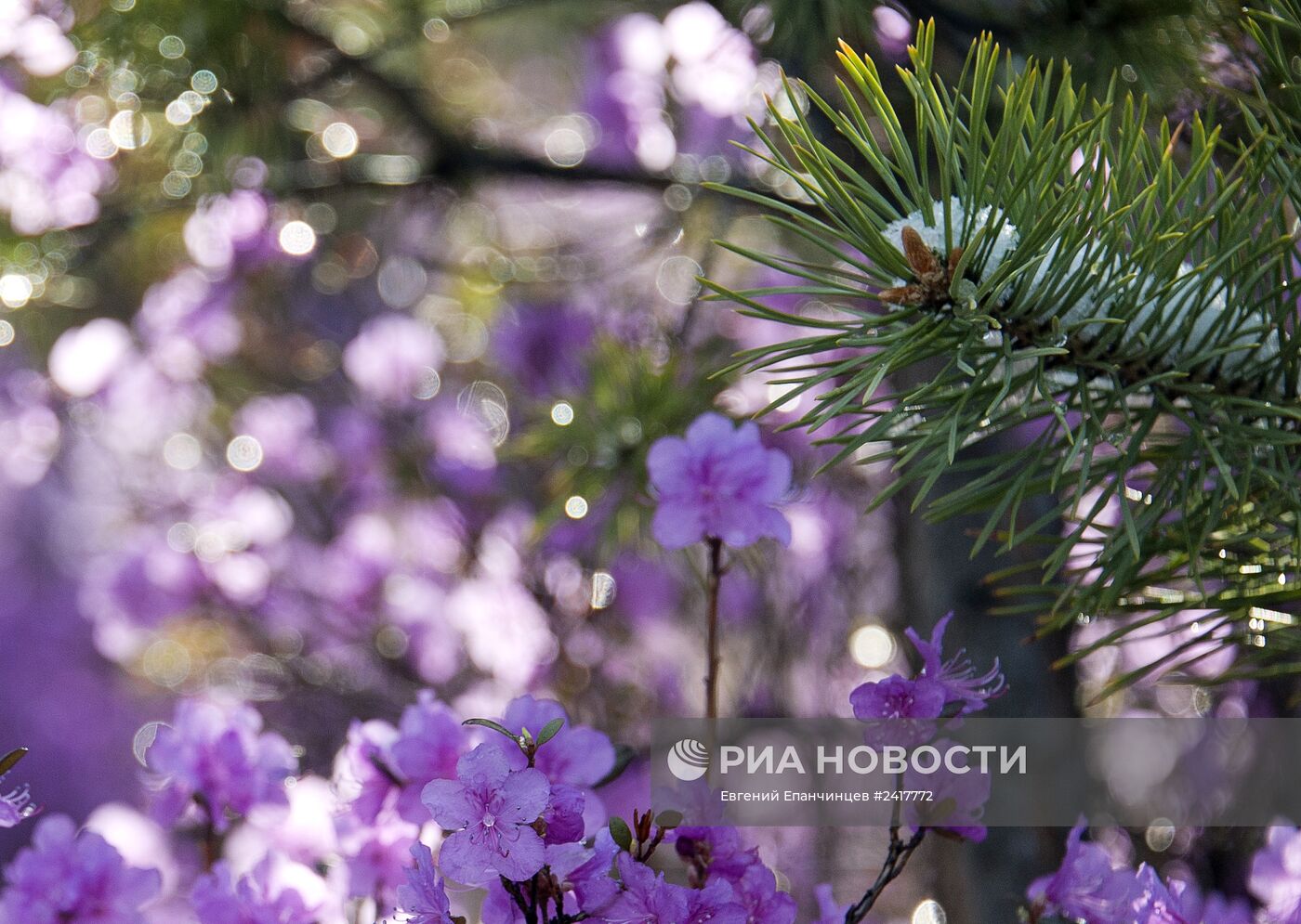 Снег в Забайкальском крае