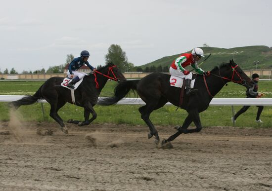 В Гудермесе состоялись конные скачки в честь Дня Мира в Чечне