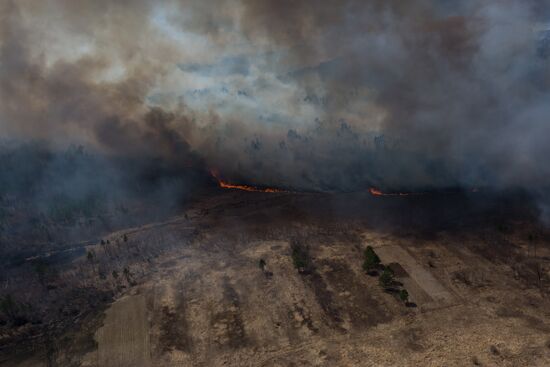 Тушение лесных пожаров на Дальнем Востоке
