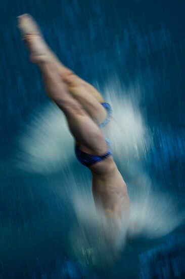 Прыжки в воду. Мировая серия FINA. Первый день
