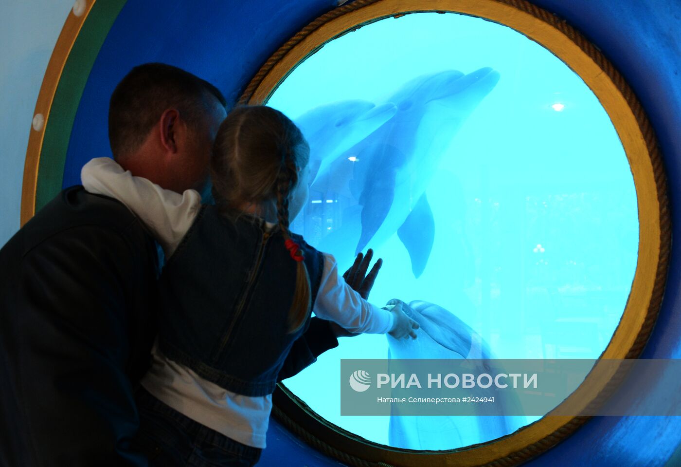 Представление в Донецком дельфинарии