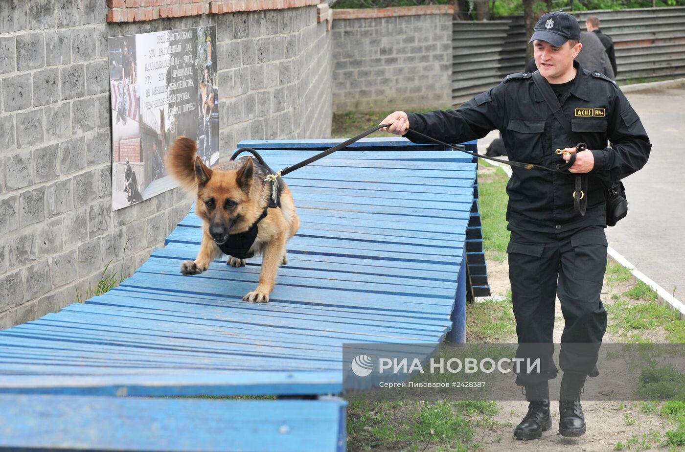 Чемпионат по служебному собаководству в Ростове-на-Дону