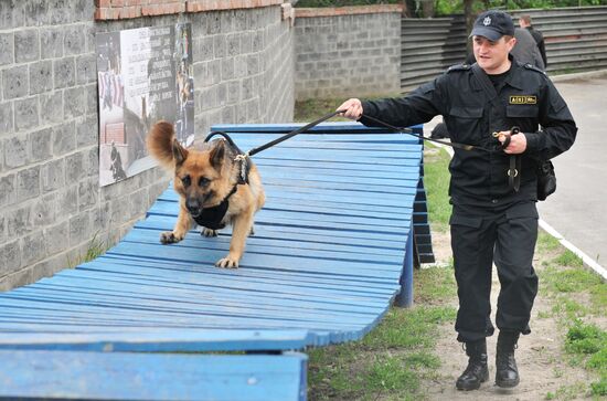 Чемпионат по служебному собаководству в Ростове-на-Дону