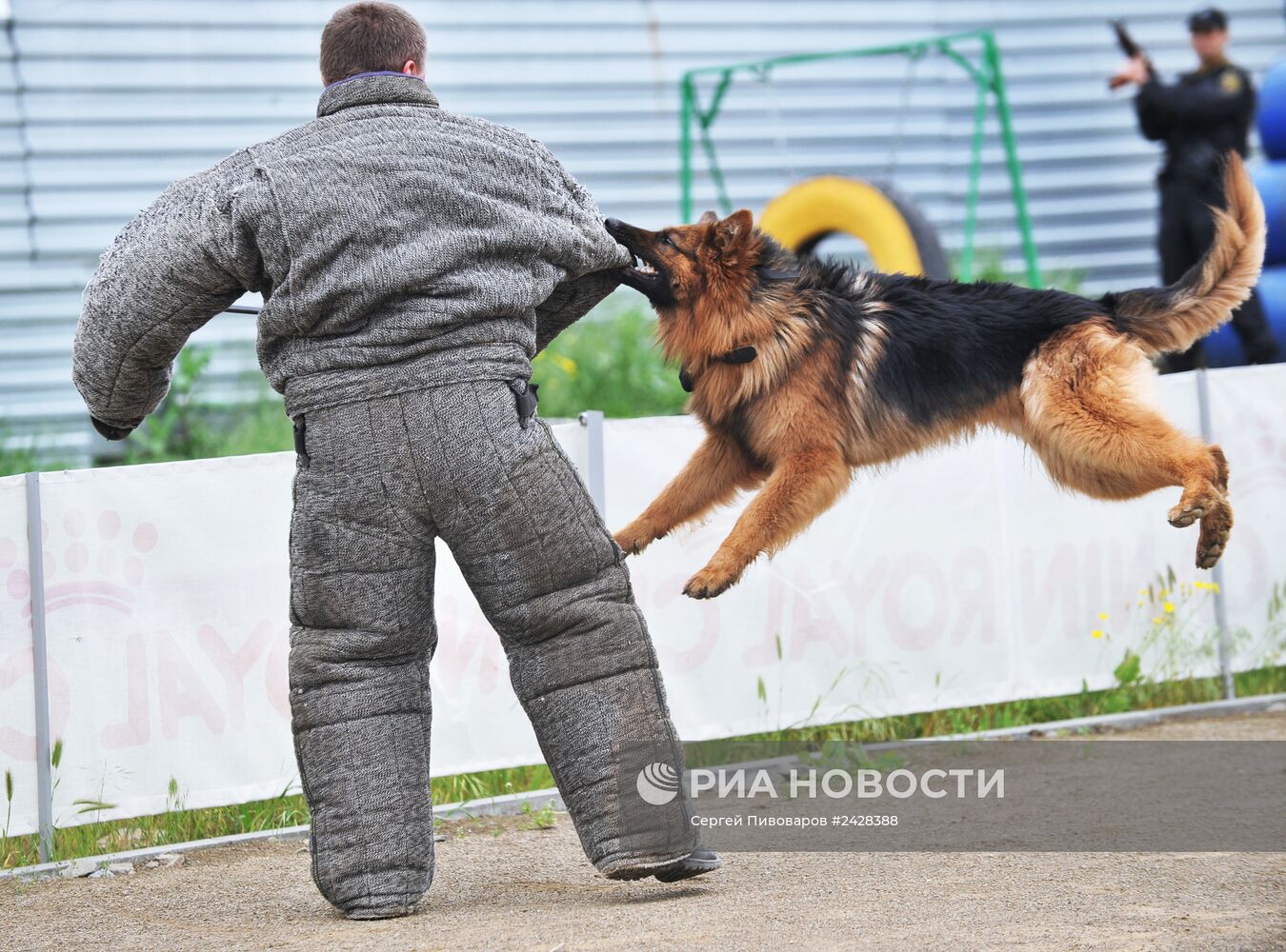 Чемпионат по служебному собаководству в Ростове-на-Дону