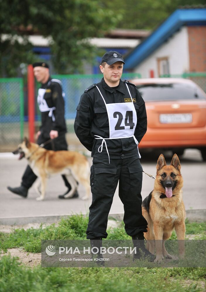 Чемпионат по служебному собаководству в Ростове-на-Дону