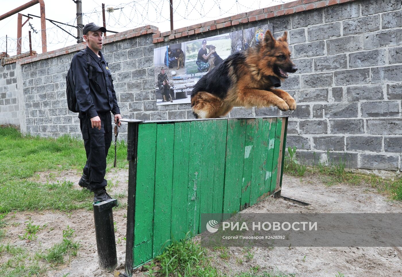 Чемпионат по служебному собаководству в Ростове-на-Дону