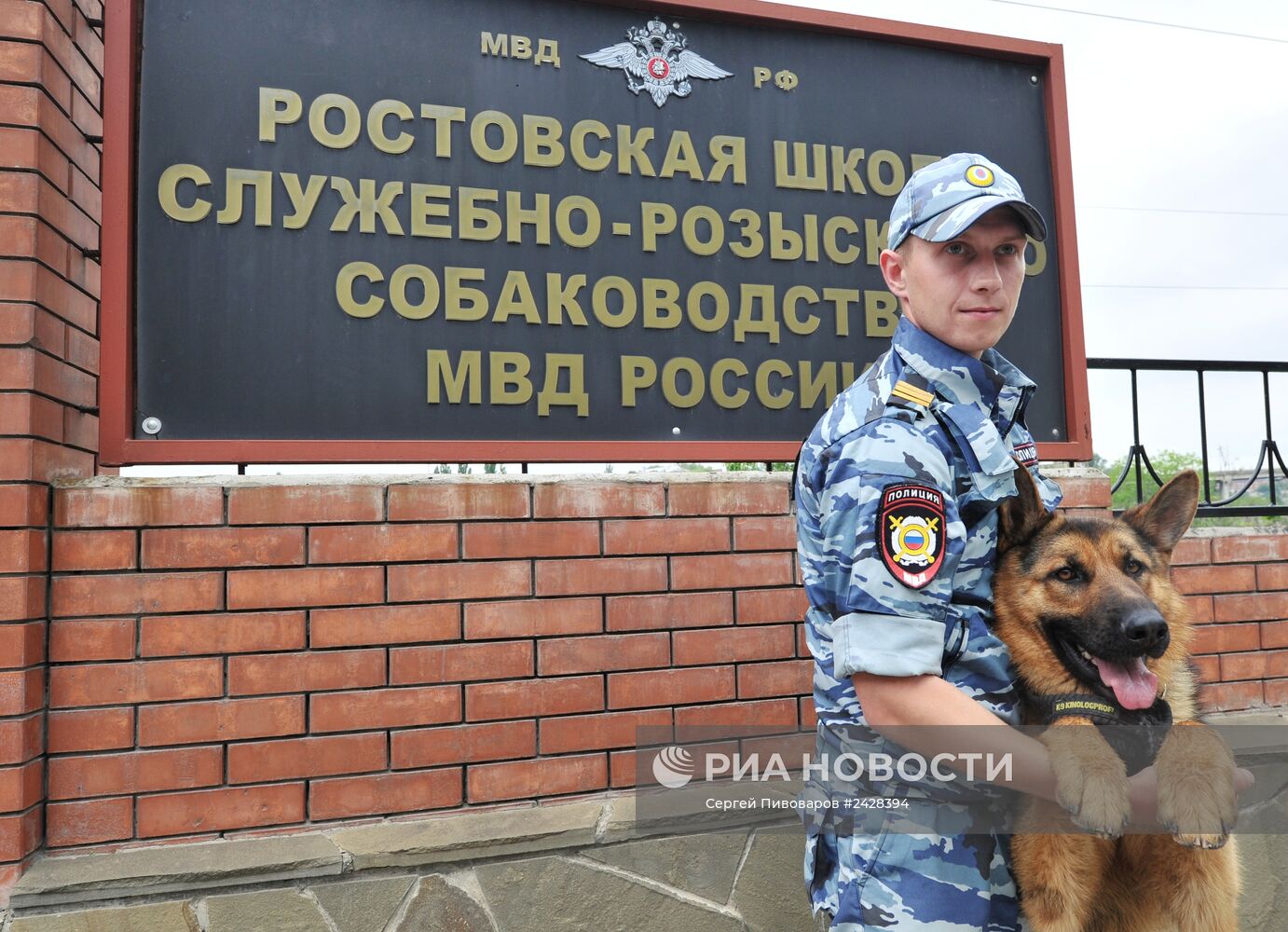 Чемпионат по служебному собаководству в Ростове-на-Дону