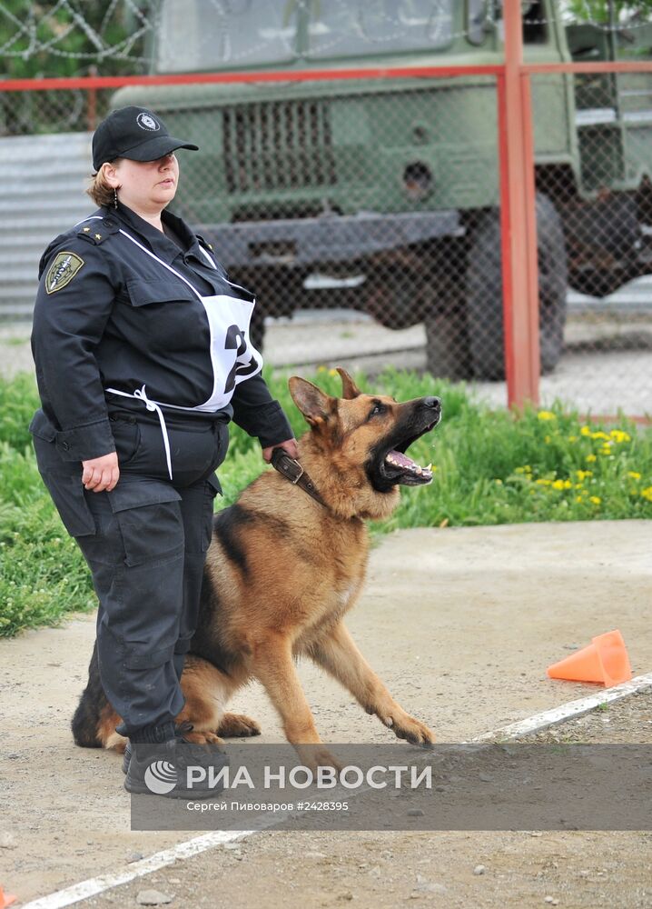 Чемпионат по служебному собаководству в Ростове-на-Дону