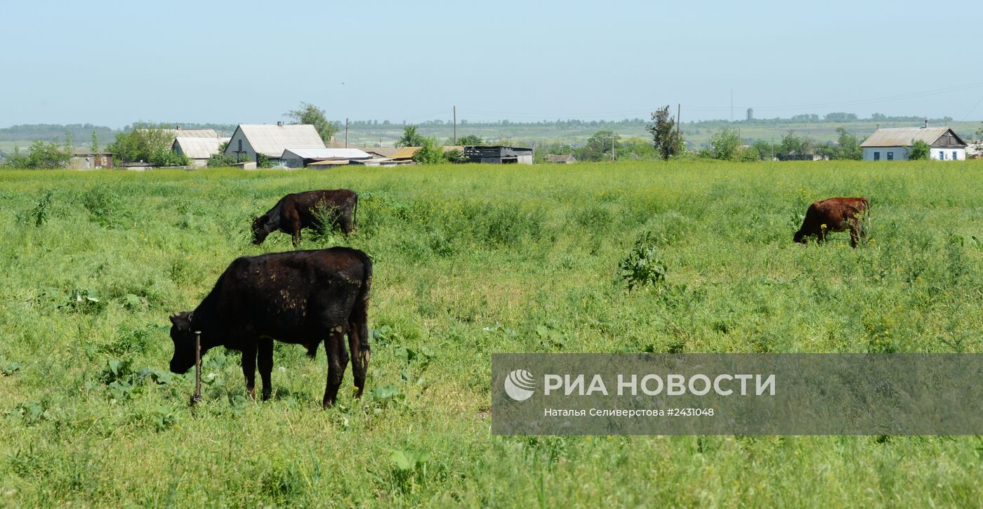 Деревня Богатырь в Донецкой области