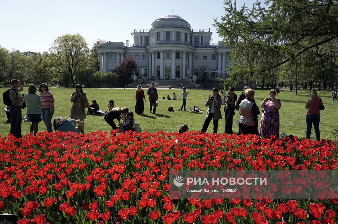 Фестиваль тюльпанов в Санкт-Петербурге