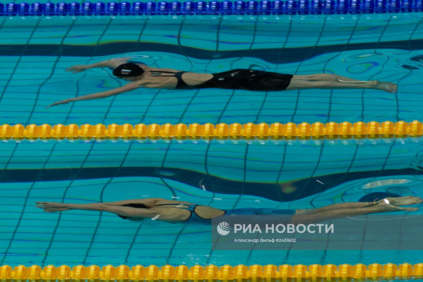 Плавание. Чемпионат России. День пятый