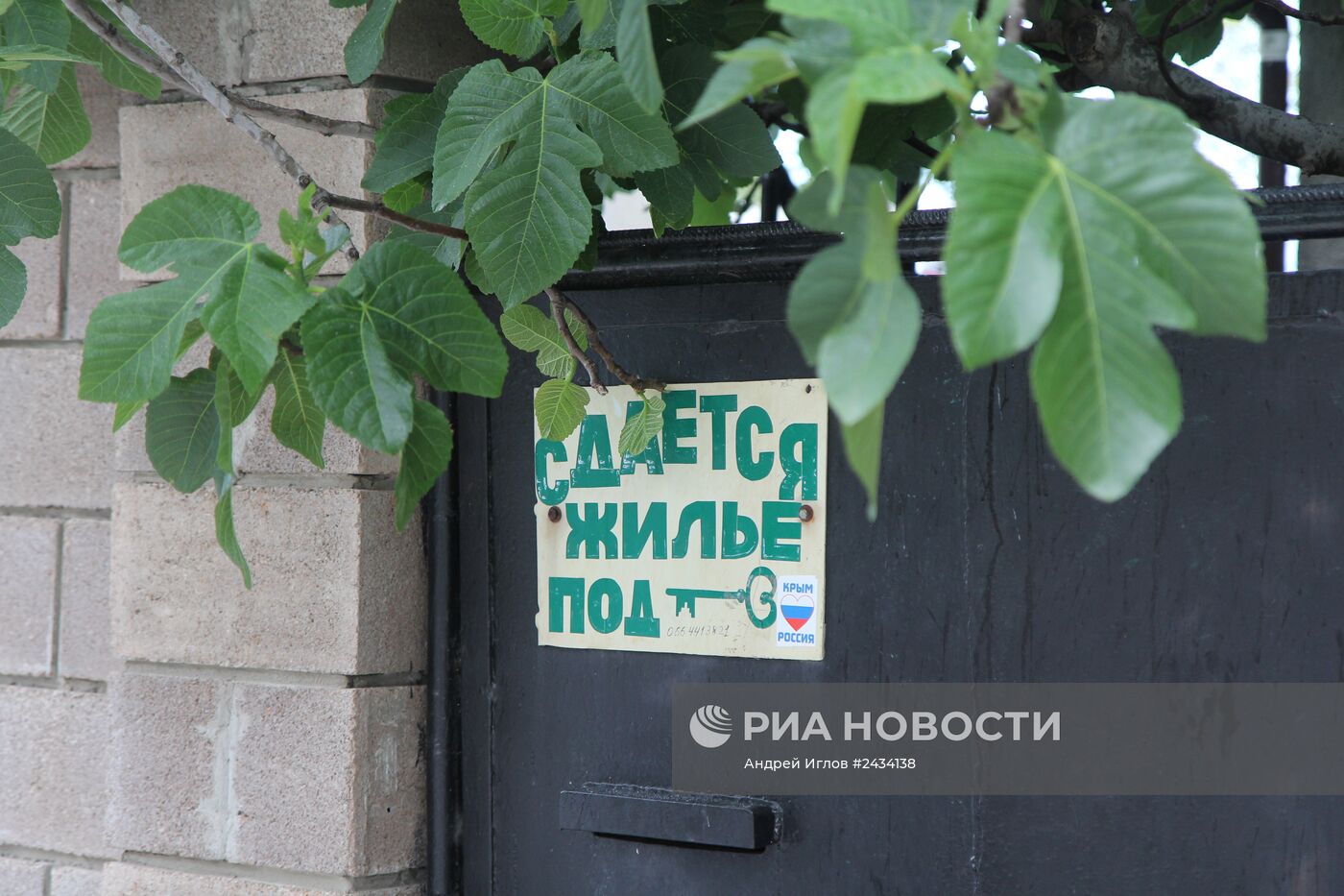 Объявления о сдаче жилья в поселках на южном берегу Крыма