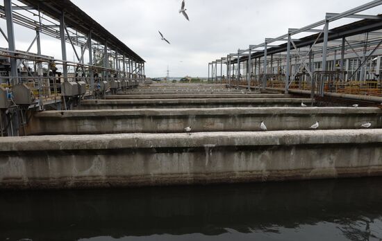 Работа Люберецких очистных сооружений