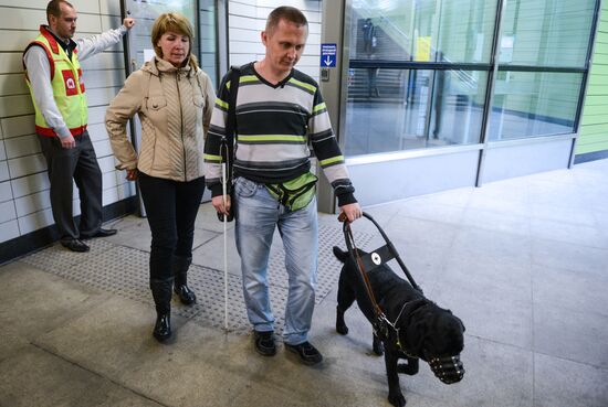Обучение собак-проводников для сопровождения людей с ограниченными возможностями в метрополитене