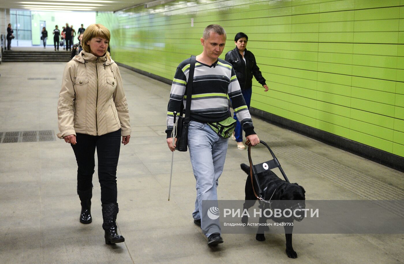 Обучение собак-проводников для сопровождения людей с ограниченными возможностями в метрополитене