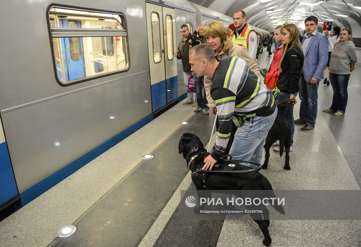 Обучение собак-проводников для сопровождения людей с ограниченными возможностями в метрополитене