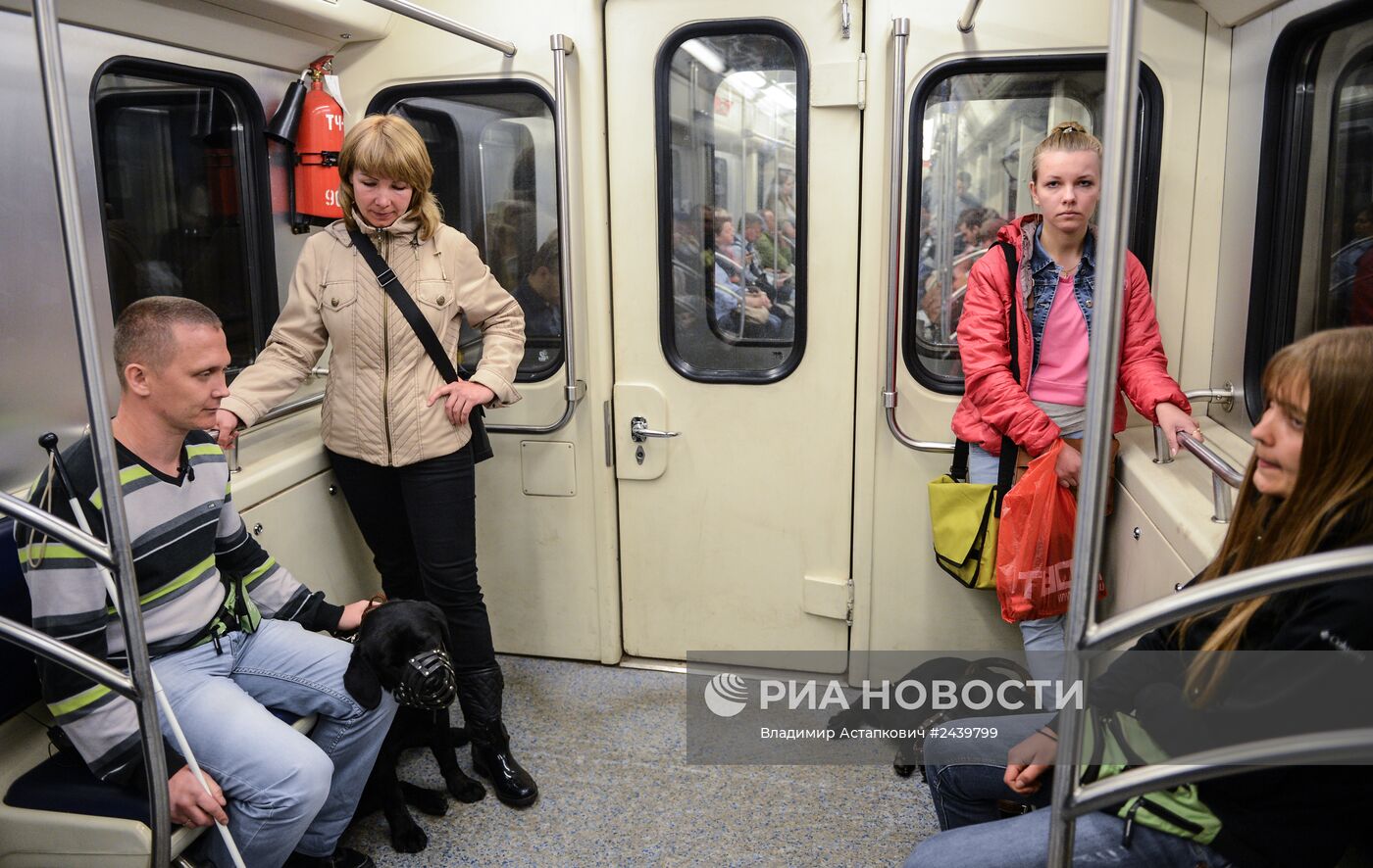 Обучение собак-проводников для сопровождения людей с ограниченными возможностями в метрополитене