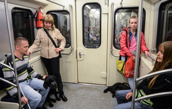 Обучение собак-проводников для сопровождения людей с ограниченными возможностями в метрополитене