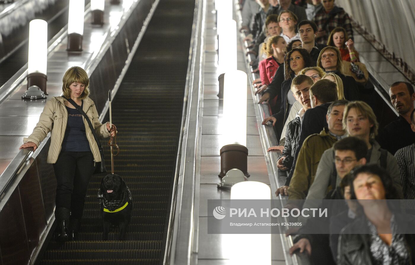 Обучение собак-проводников для сопровождения людей с ограниченными возможностями в метрополитене