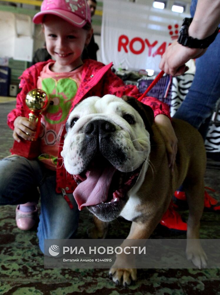 Международная выставка собак во Владивостоке