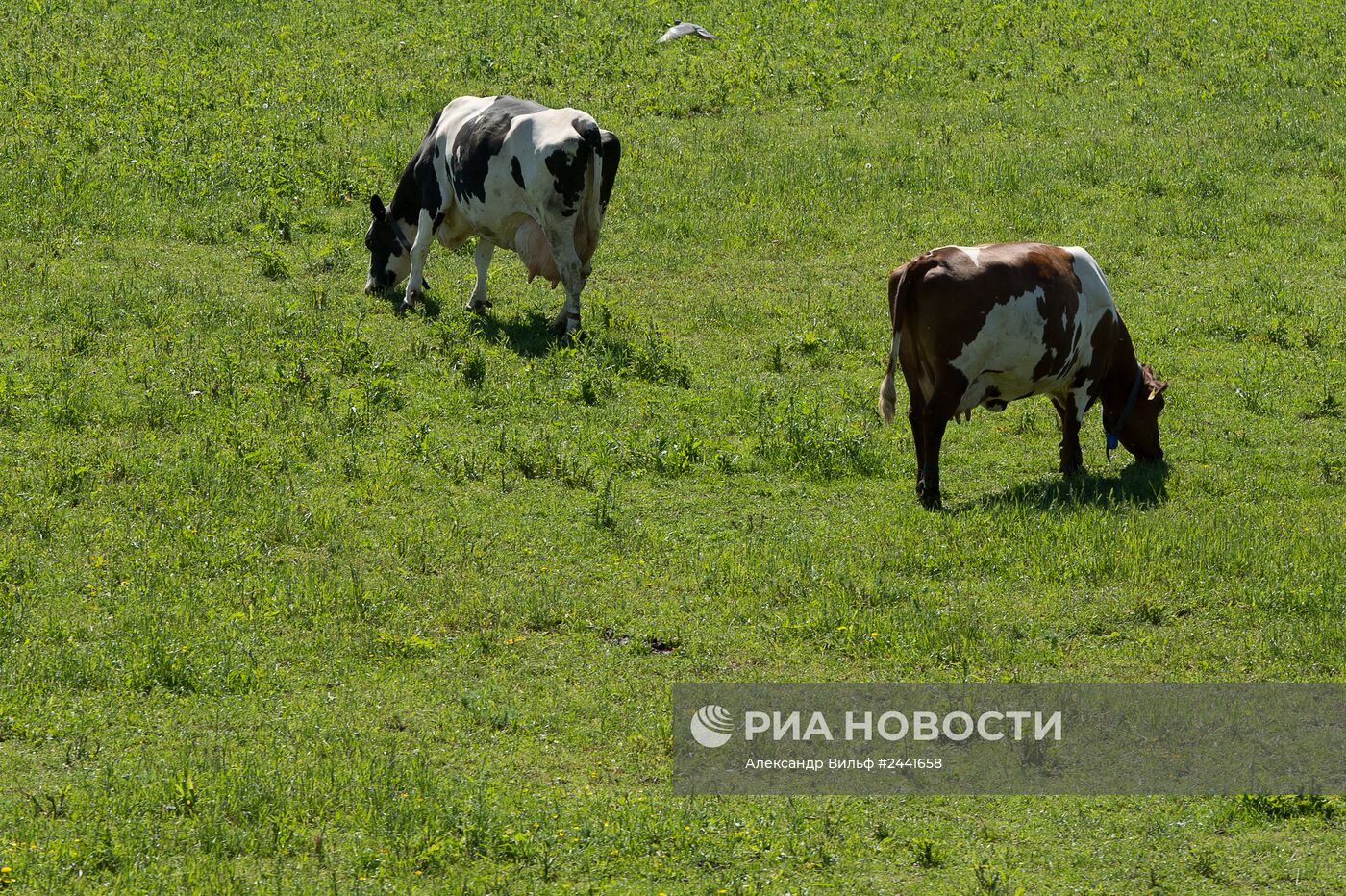 Города мира. Осло