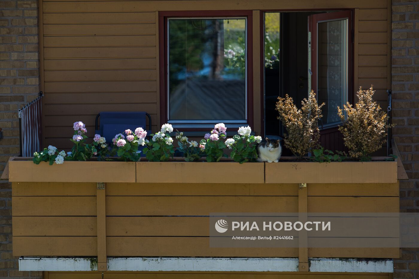 Города мира. Осло