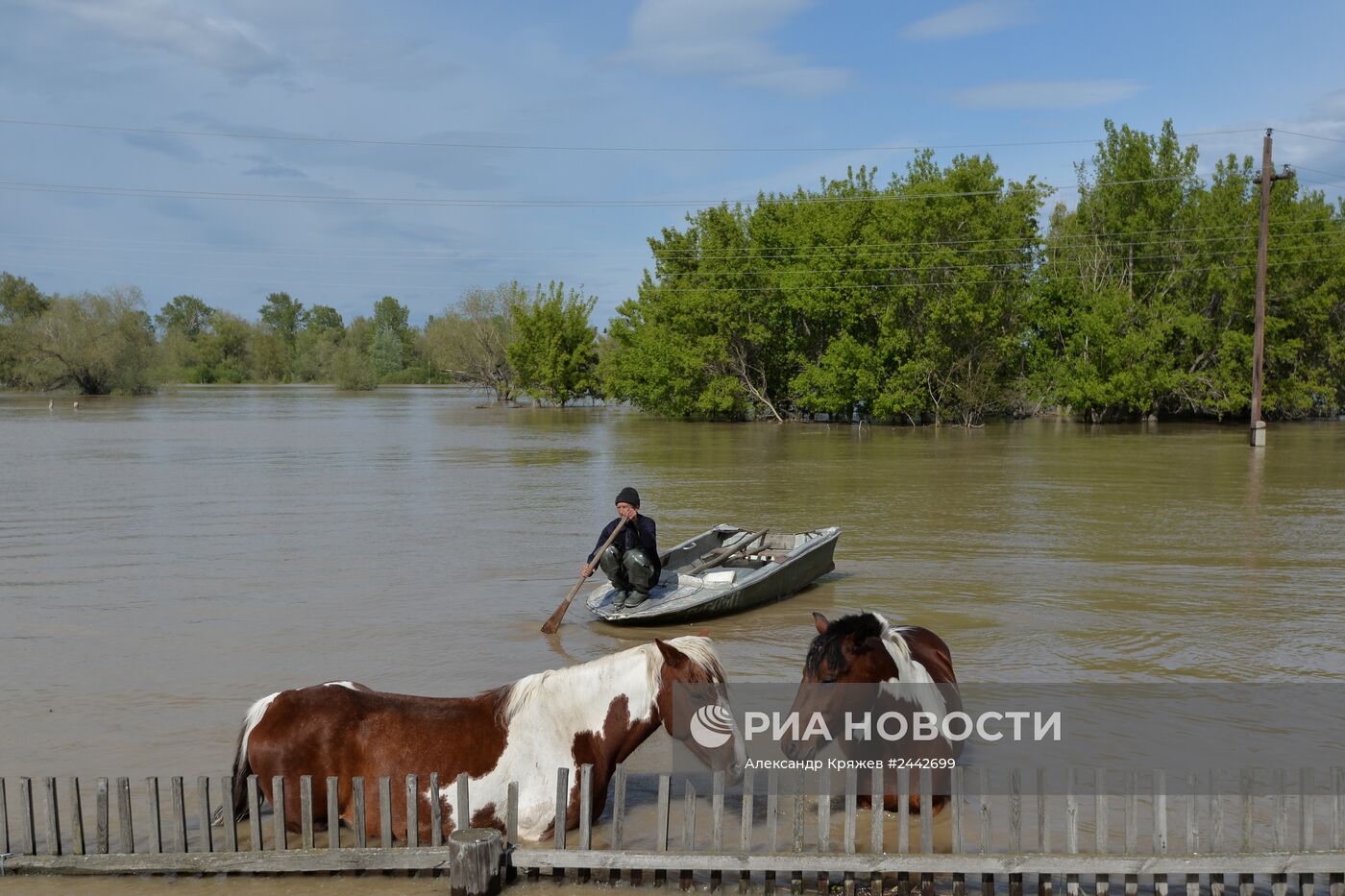 Паводок в Алтайском крае