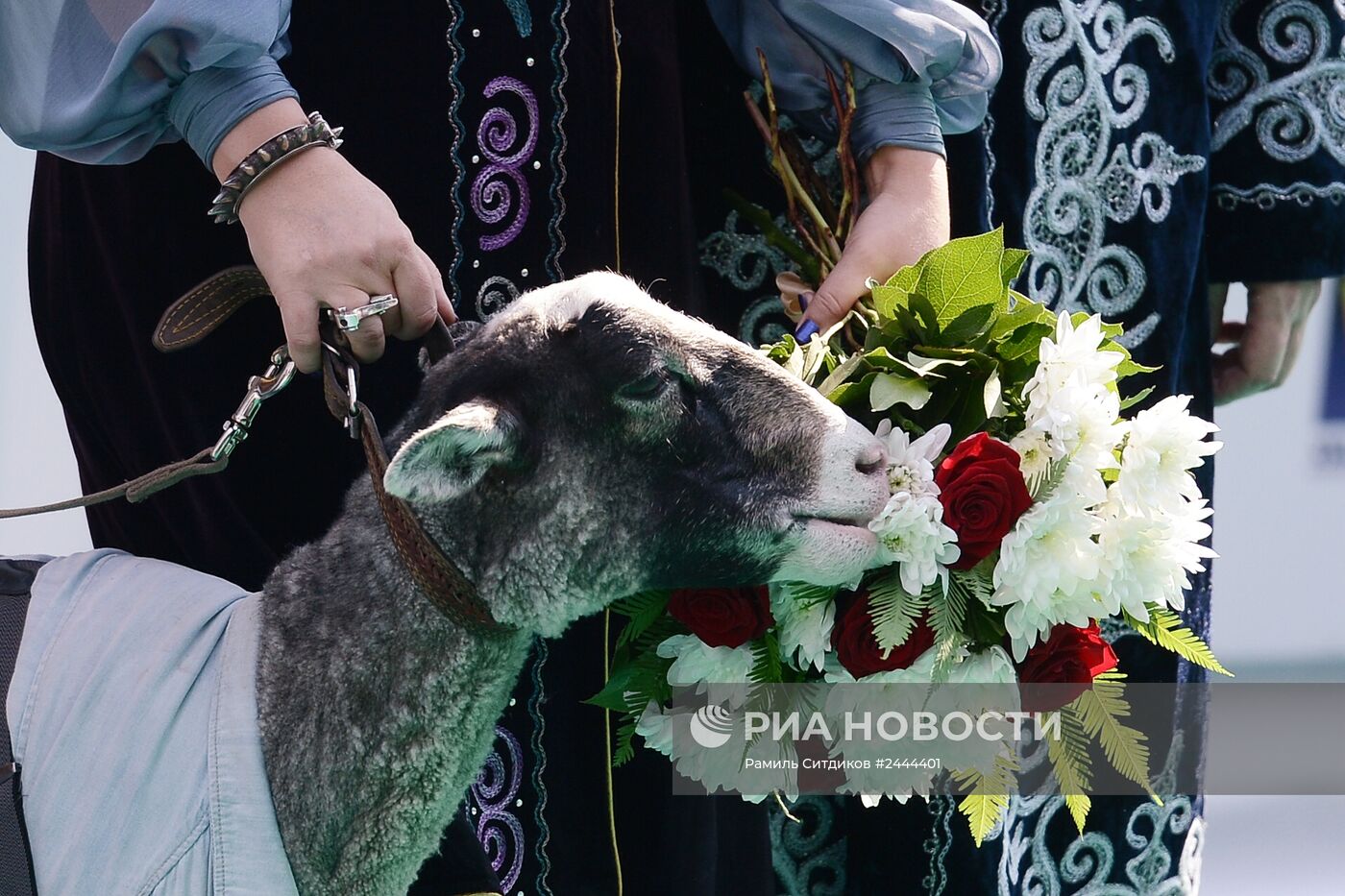 Премия "Муз-ТВ-2014. Эволюция"